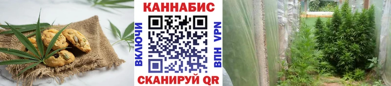 MEGA как зайти  Россошь  Еда ТГК конопля  что такое  