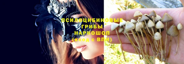 СК Арсеньев