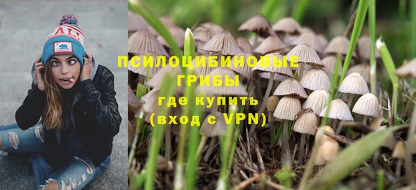 хмурый Алзамай