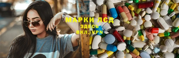 мдпв Пестово
