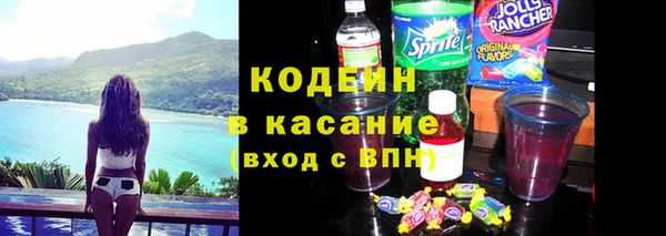 хмурый Алзамай