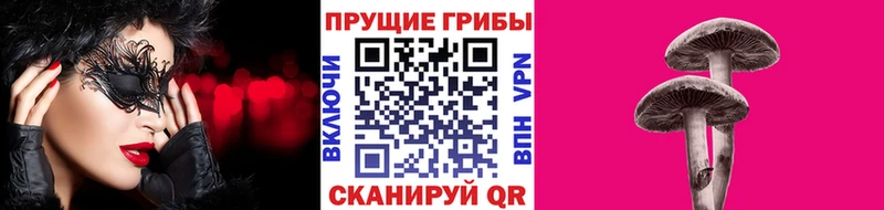 Псилоцибиновые грибы GOLDEN TEACHER mega как зайти Россошь дарнет шоп
